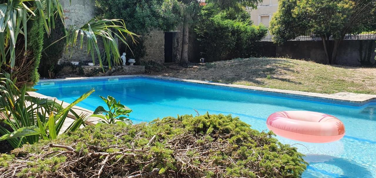 La Casa De Margarita Y Sisco, Villa Avec Piscine Καρκασόν Εξωτερικό φωτογραφία