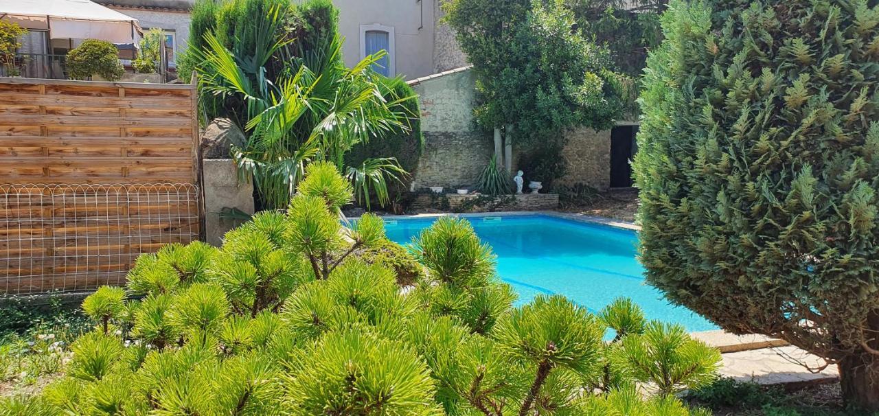 La Casa De Margarita Y Sisco, Villa Avec Piscine Καρκασόν Εξωτερικό φωτογραφία
